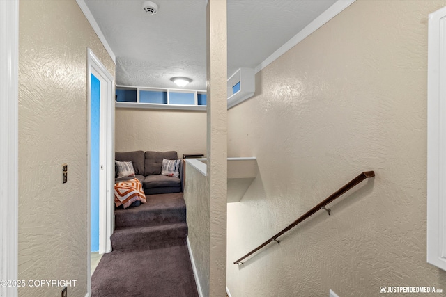 8051 Evans Cir, Anchorage, AK 99507 - staircase with a textured wall and carpet