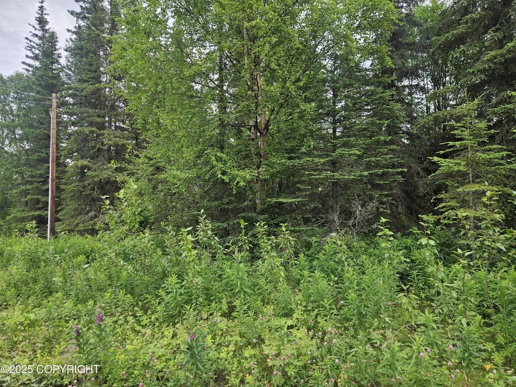 L10 Milky Way St, Nikiski/North Kenai, AK 99611 - photo 2