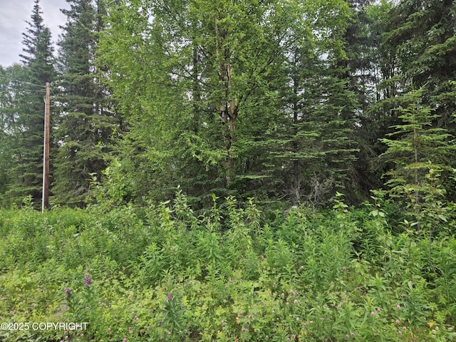L10 Milky Way St, Nikiski/North Kenai, AK 99611 - photo 2