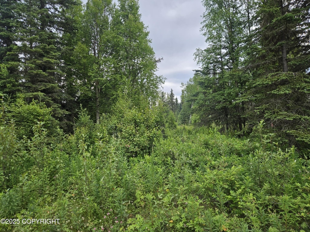 L10 Milky Way St, Nikiski/North Kenai, AK 99611 - photo 3