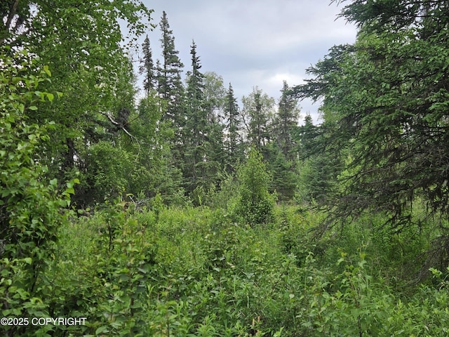 L10 Milky Way St, Nikiski/North Kenai, AK 99611 - photo 4