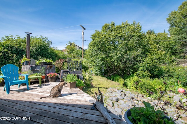 546 Soundview Ave, Homer, AK 99603 - photo 25