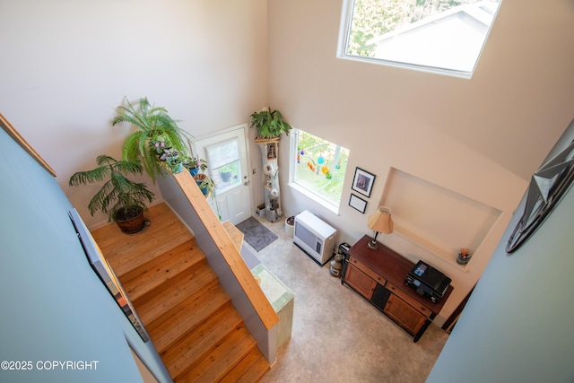 546 Soundview Ave, Homer, AK 99603 - photo 15