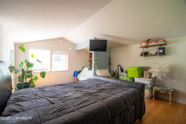 546 Soundview Ave, Homer, AK 99603 - photo 18