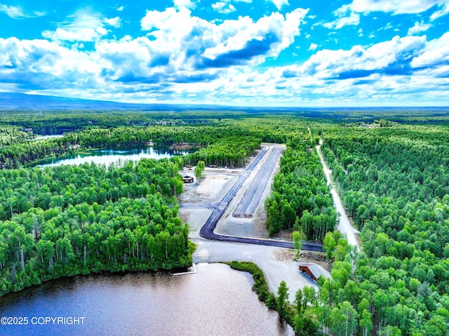 46497 S Fishermans Hop Rd, Willow, AK 99688