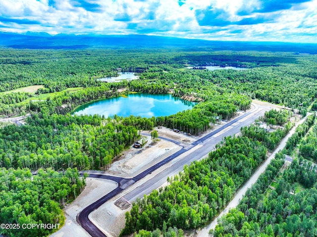 46497 S Fishermans Hop Rd, Willow, AK 99688