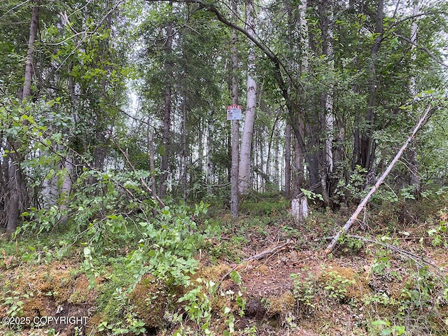 46497 S Fishermans Hop Rd, Willow, AK 99688