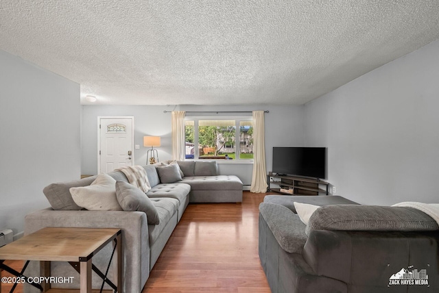 7200 Kiska Cir, Anchorage, AK 99504 - living area with light wood finished floors and a textured ceiling