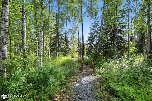 7961 S Frontier Dr, Wasilla, AK 99654 - photo 47