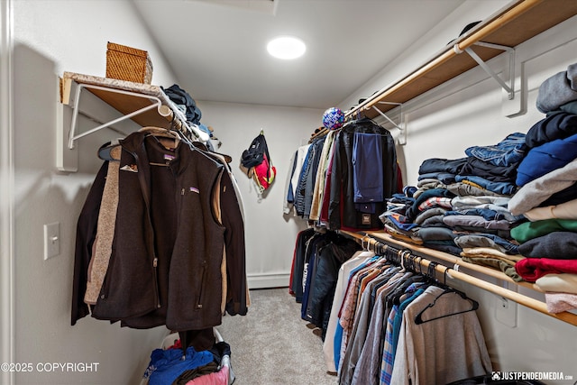 1544 State St, Anchorage, AK 99504 - walk in closet featuring carpet floors