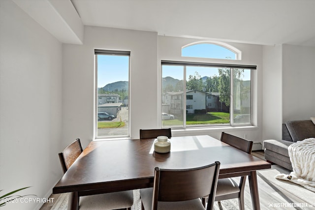 1544 State St, Anchorage, AK 99504 - dining space with wood finished floors and a mountain view