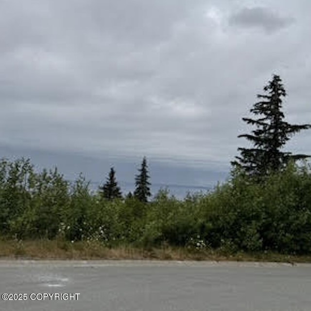 18936 Scenic Hill Dr, Anchorage, AK 99516