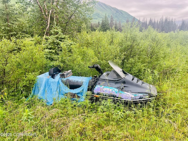48550 Seward Hwy, Moose Pass, AK 99631 - photo 27