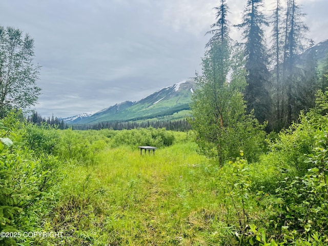 48550 Seward Hwy, Moose Pass, AK 99631 - photo 26