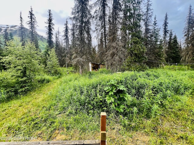 48550 Seward Hwy, Moose Pass, AK 99631 - photo 22