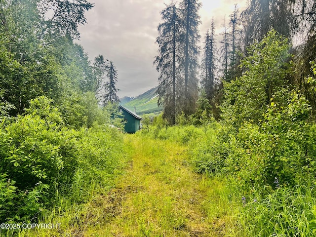 48550 Seward Hwy, Moose Pass, AK 99631 - photo 12