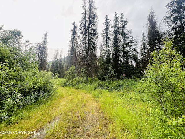 48550 Seward Hwy, Moose Pass, AK 99631 - photo 8