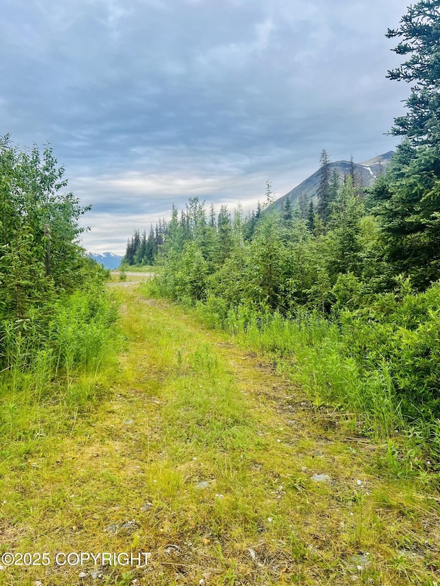 48550 Seward Hwy, Moose Pass, AK 99631 - photo 9