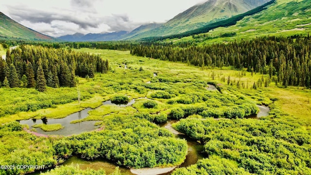 48550 Seward Hwy, Moose Pass, AK 99631 - photo 4
