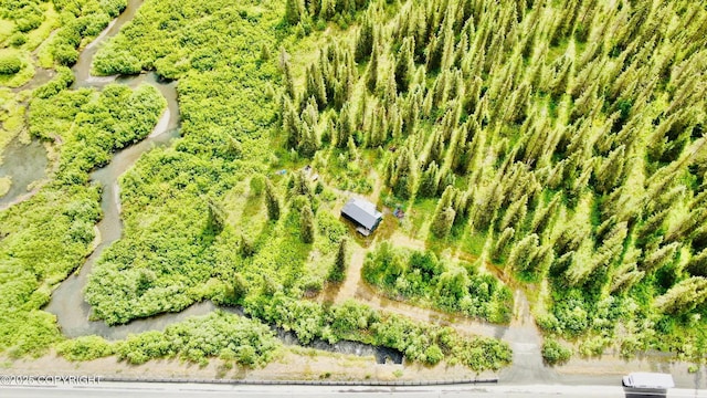 48550 Seward Hwy, Moose Pass, AK 99631 - photo 1