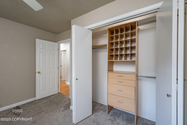 9645 Nulato Cir, Eagle River, AK 99577 - view of closet