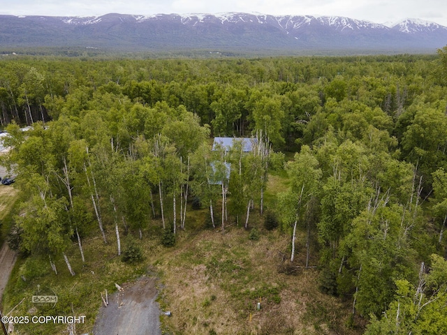 1801 W That Rd, Wasilla, AK 99623 - aerial view of a forest and mountains