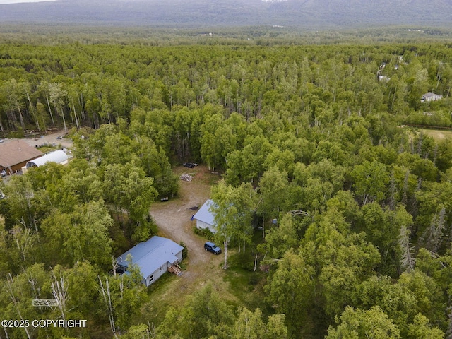 1801 W That Rd, Wasilla, AK 99623 - drone / aerial view of a forest