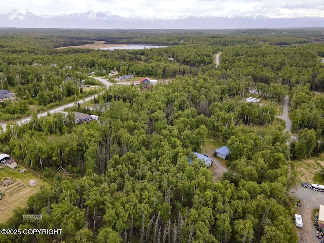 1801 W That Rd, Wasilla, AK 99623 - drone / aerial view of a heavily wooded area