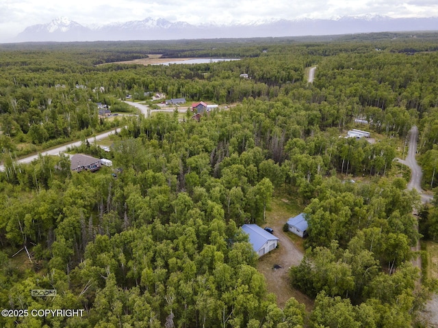 1801 W That Rd, Wasilla, AK 99623 - drone / aerial view of a heavily wooded area