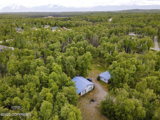 1801 W That Rd, Wasilla, AK 99623 - bird's eye view of a forest