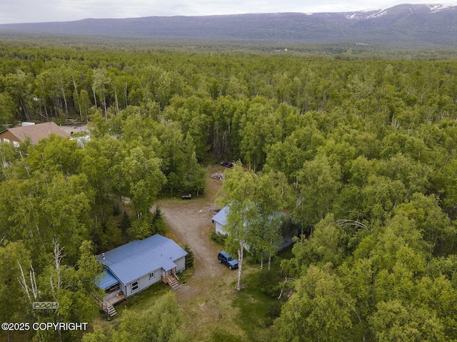 1801 W That Rd, Wasilla, AK 99623 - aerial view of a forest