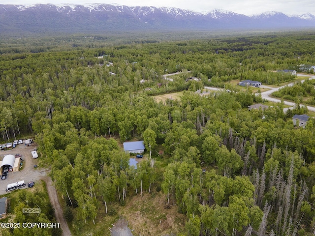 1801 W That Rd, Wasilla, AK 99623 - drone / aerial view of a heavily wooded area