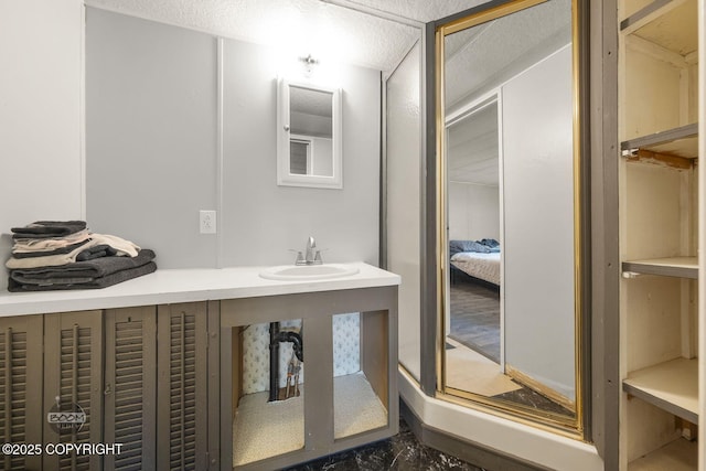 1801 W That Rd, Wasilla, AK 99623 - bathroom with a sink and ensuite bathroom
