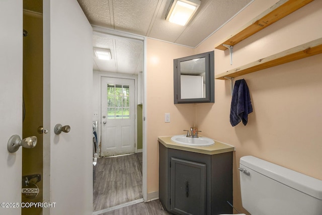 1801 W That Rd, Wasilla, AK 99623 - bathroom with vanity, wood finished floors, and a textured ceiling