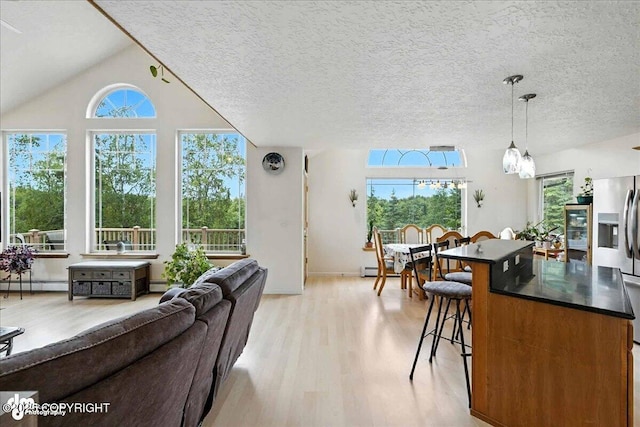 48350 Lakeside Ave, Soldotna, AK 99669 - living area featuring light wood-style flooring, a baseboard radiator, and a textured ceiling