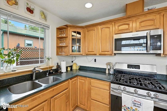48350 Lakeside Ave, Soldotna, AK 99669 - kitchen with stainless steel appliances, a textured ceiling, dark countertops, glass insert cabinets, and brown cabinetry