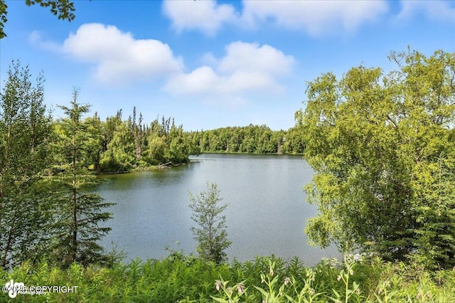 48350 Lakeside Ave, Soldotna, AK 99669 - water view featuring a forest