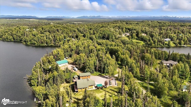 48350 Lakeside Ave, Soldotna, AK 99669 - bird's eye view of a forest and a large body of water