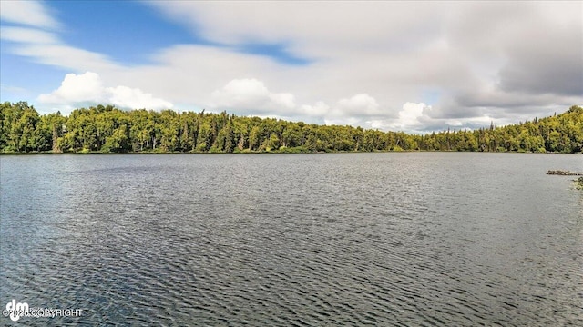 48350 Lakeside Ave, Soldotna, AK 99669 - water view with a heavily wooded area