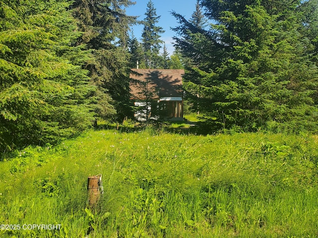 35196 Nordic Ct, Anchor Point, AK 99556 - view of yard