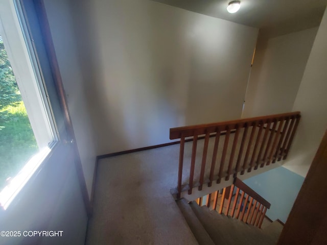 35196 Nordic Ct, Anchor Point, AK 99556 - stairway featuring carpet floors and baseboards