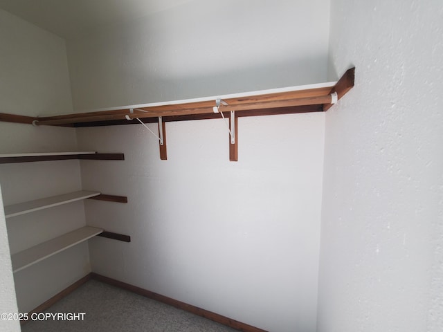 35196 Nordic Ct, Anchor Point, AK 99556 - walk in closet featuring carpet floors