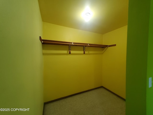 35196 Nordic Ct, Anchor Point, AK 99556 - view of walk in closet