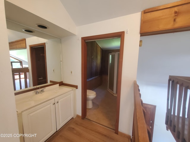 35196 Nordic Ct, Anchor Point, AK 99556 - bathroom featuring wood finished floors, vanity, and lofted ceiling