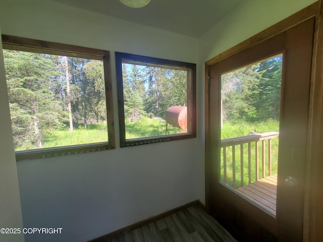 35196 Nordic Ct, Anchor Point, AK 99556 - unfurnished sunroom with healthy amount of natural light