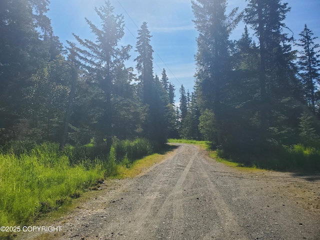 35196 Nordic Ct, Anchor Point, AK 99556 - view of dirt / gravel road with a view of trees