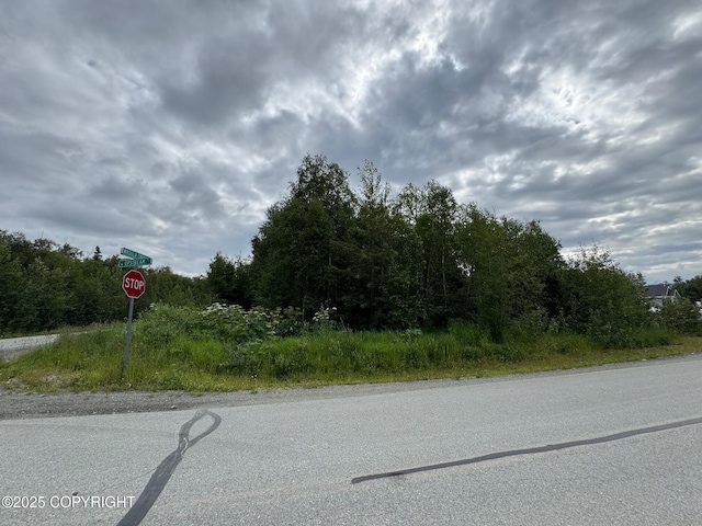 875 N Upstream Pl, Palmer, AK 99645 - photo 4