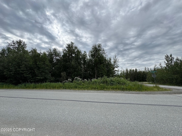 875 N Upstream Pl, Palmer, AK 99645 - photo 3