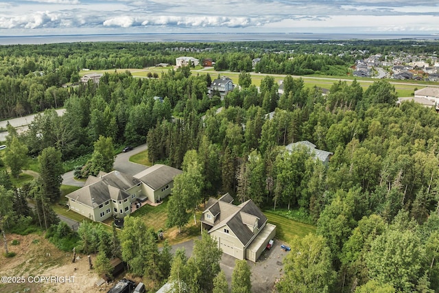 3641 E Klatt Rd, Anchorage, AK 99516 - photo 79