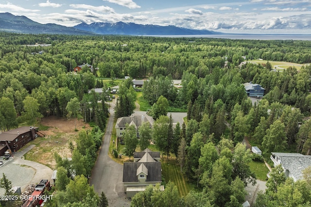 3641 E Klatt Rd, Anchorage, AK 99516 - photo 80